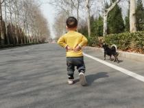 瞧这“春天的脚步”多潇洒