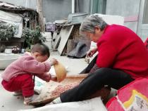 我帮太姥姥拣花生