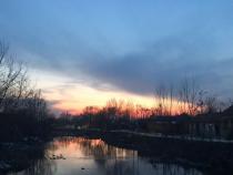 春来水暖鸭先知