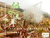手机摄影设计练习两幅